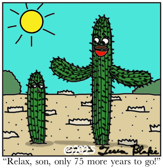 Cactus Crack-Up