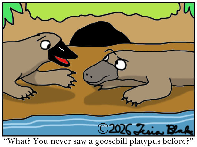 Platy-Pun