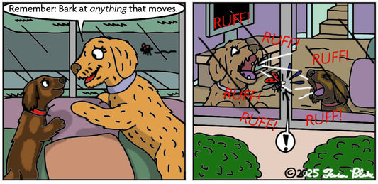 Barking Up the Wrong Gag