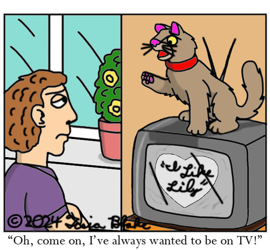Kitty on the Television