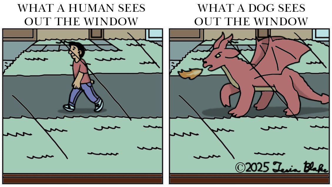 Opposing Views