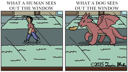 Opposing Views