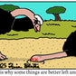Ostrich Oopsie