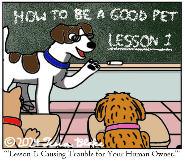 Pet School