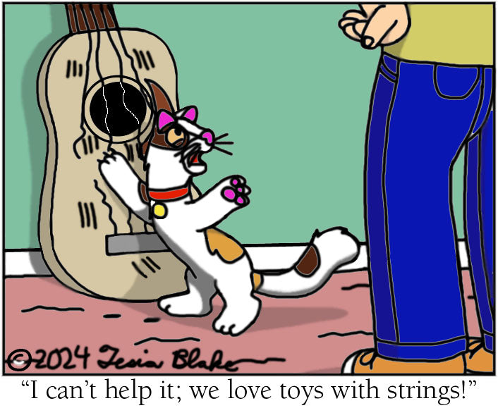 String Toy Theory